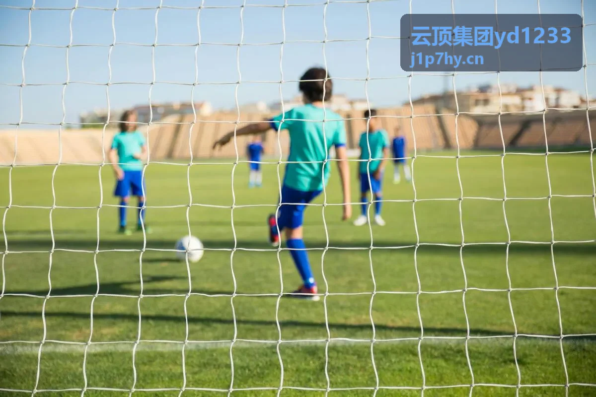 云顶集团yd1233服务档案封面图